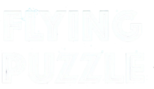 flying puzzle